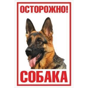 Табличка Осторожно! Собака (овчарка)